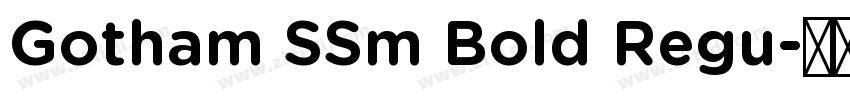 Gotham SSm Bold Regu字体转换